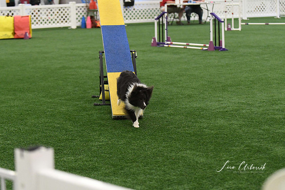 DigitalDSC_5928