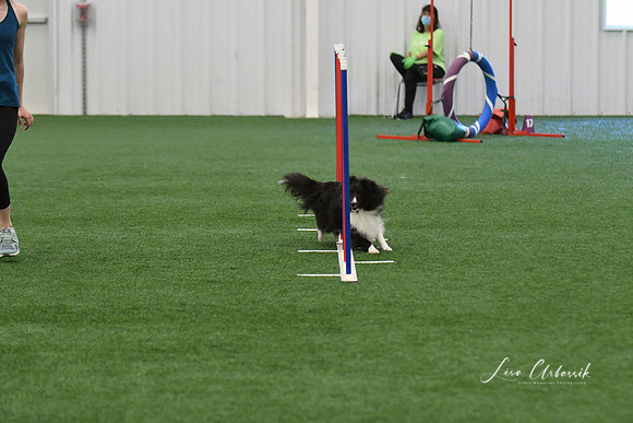 DigitalDSC_5921
