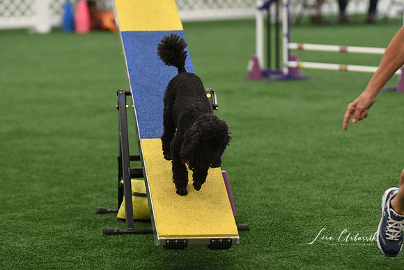 DigitalDSC_5952
