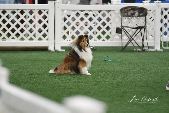 DigitalDSC_5972