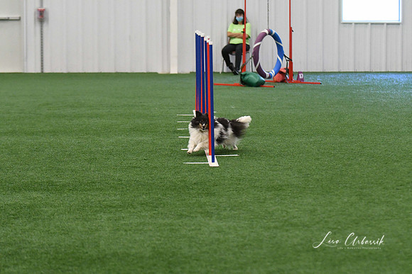 DigitalDSC_5934