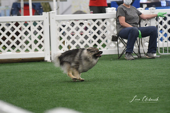 DigitalDSC_6037
