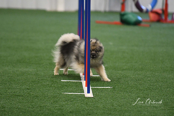 DigitalDSC_6056