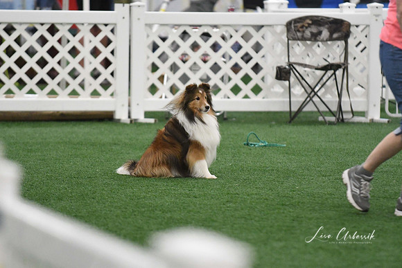DigitalDSC_5971