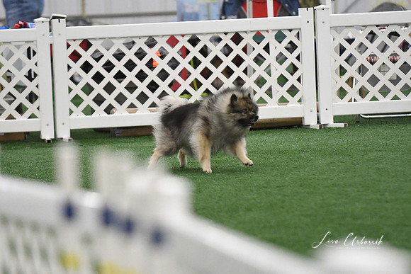 DigitalDSC_6036