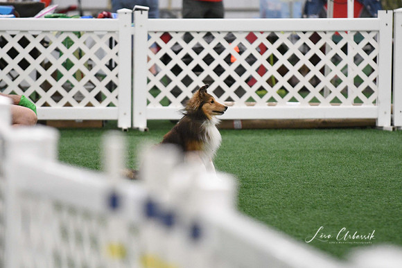 DigitalDSC_6014