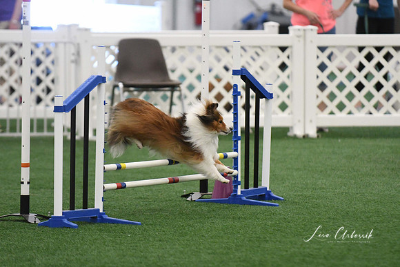 DigitalDSC_5958