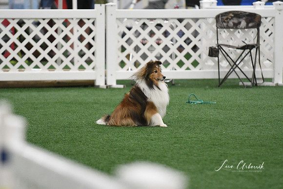 DigitalDSC_5973