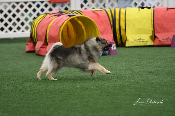 DigitalDSC_6042