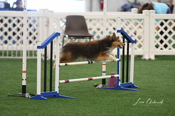 DigitalDSC_6016
