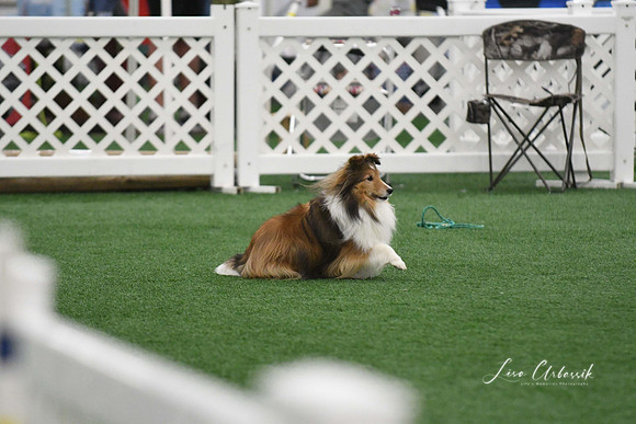 DigitalDSC_5974