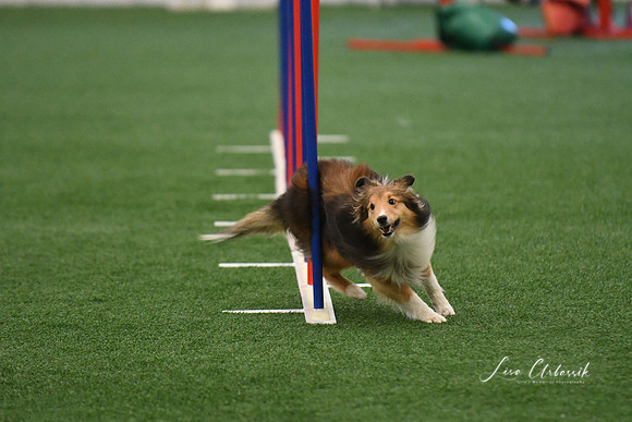 DigitalDSC_6028