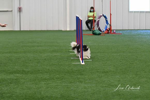 DigitalDSC_5933