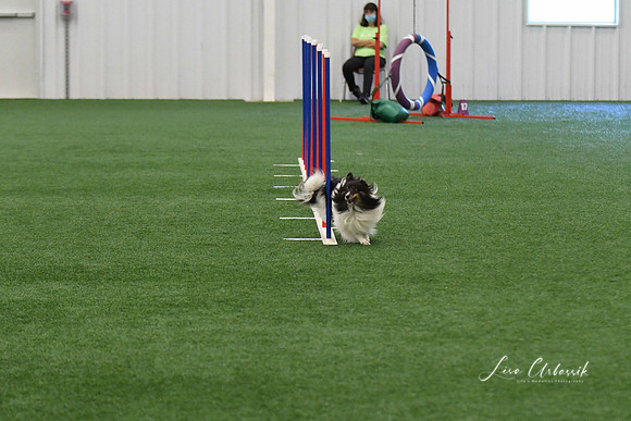 DigitalDSC_5936