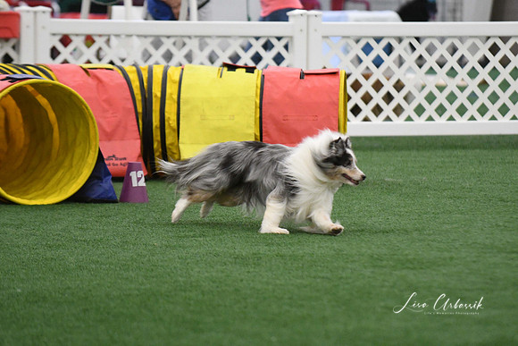 DigitalDSC_6001