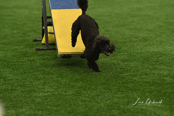 DigitalDSC_5954