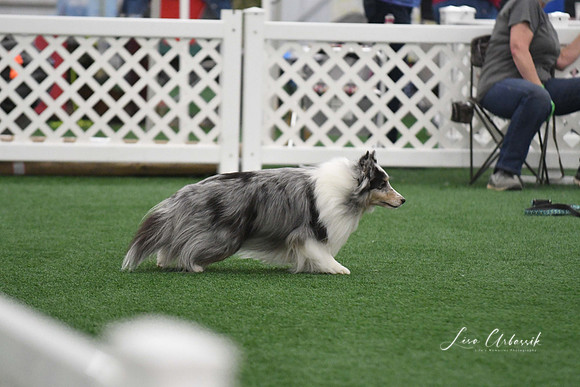 DigitalDSC_5997