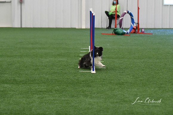 DigitalDSC_5922