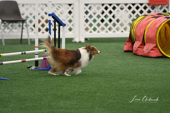 DigitalDSC_5959
