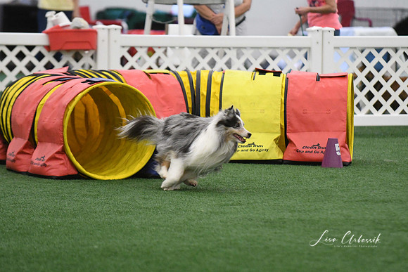 DigitalDSC_6000