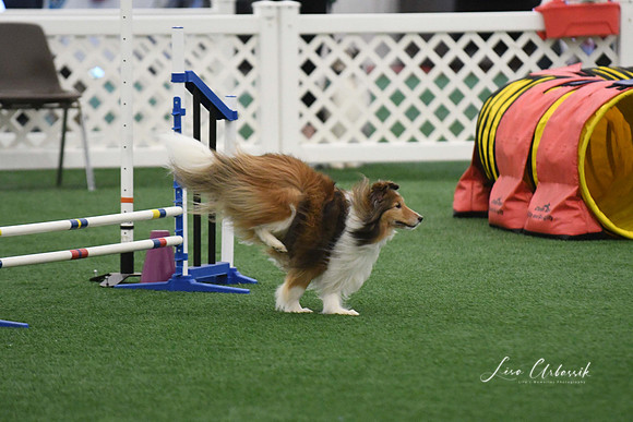 DigitalDSC_5976