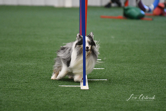 DigitalDSC_6007