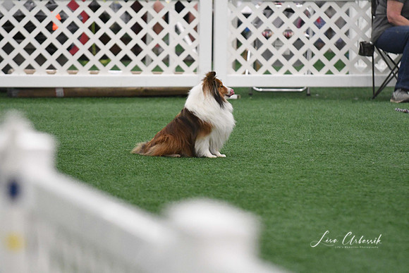 DigitalDSC_5955