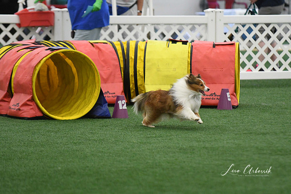 DigitalDSC_5961