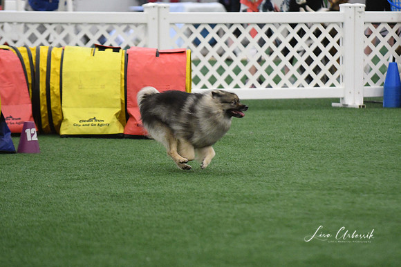 DigitalDSC_6045