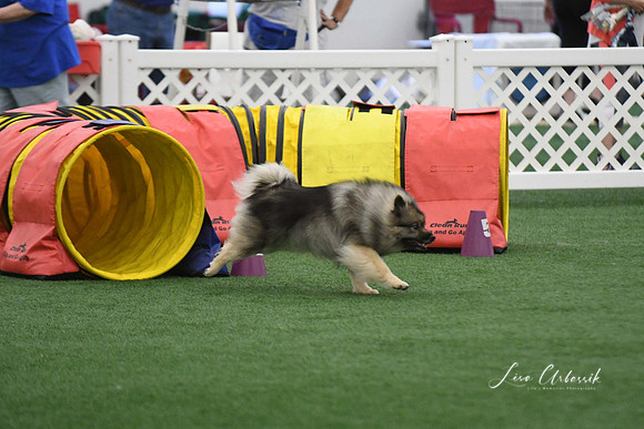 DigitalDSC_6044
