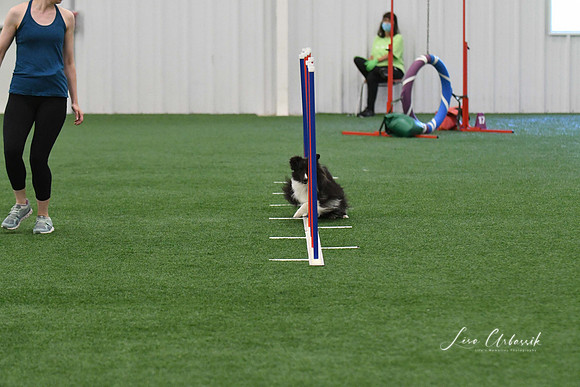 DigitalDSC_5919