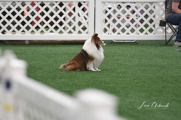 DigitalDSC_5956