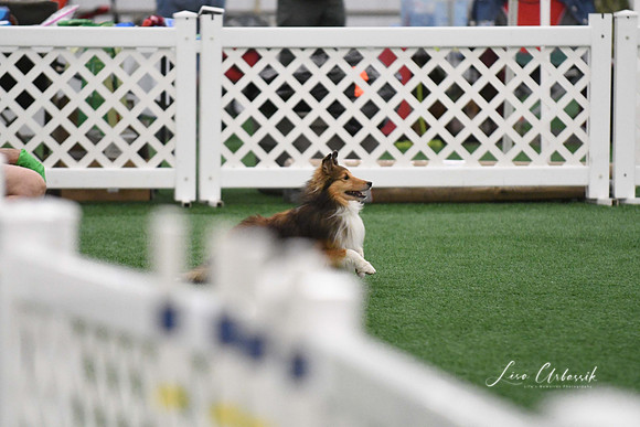 DigitalDSC_6015
