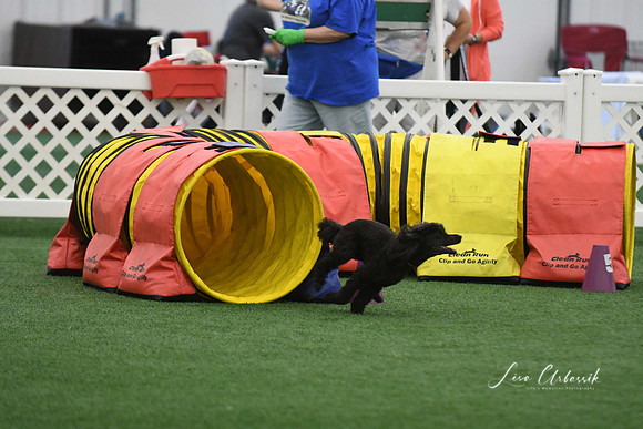 DigitalDSC_5943