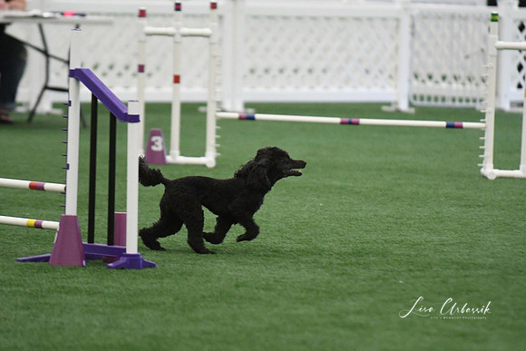 DigitalDSC_5944