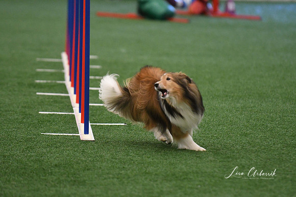 DigitalDSC_5985