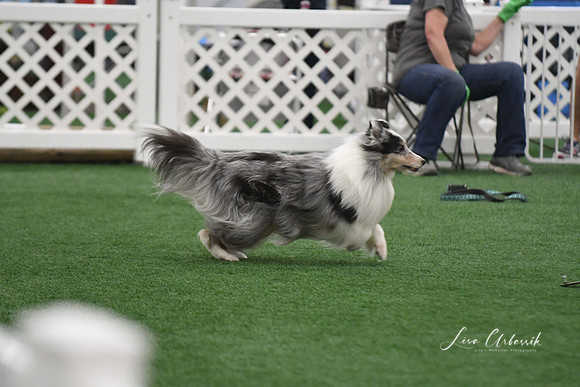 DigitalDSC_5998
