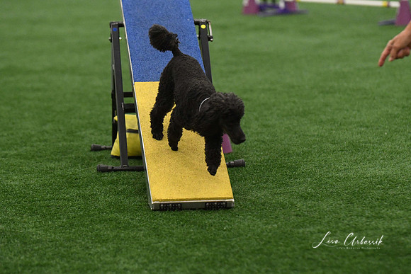 DigitalDSC_5953