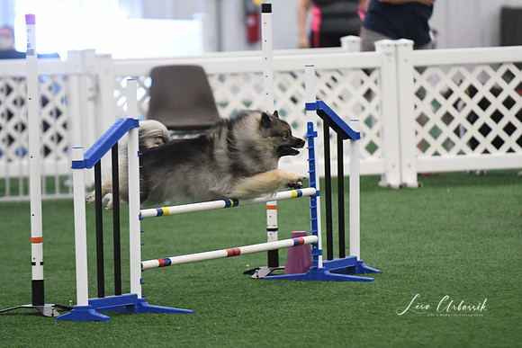 DigitalDSC_6040