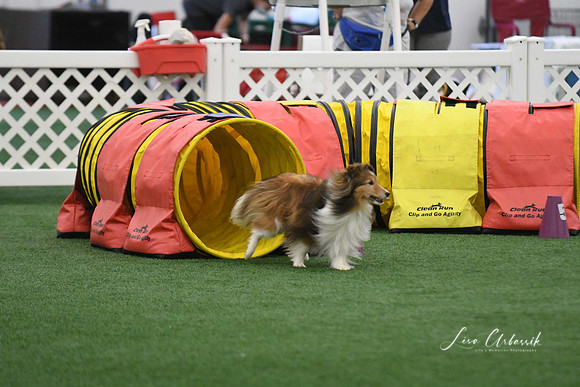 DigitalDSC_5977