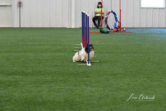 DigitalDSC_5935