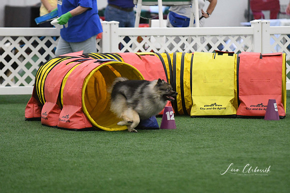 DigitalDSC_6043