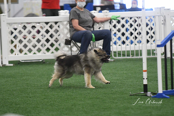 DigitalDSC_6038