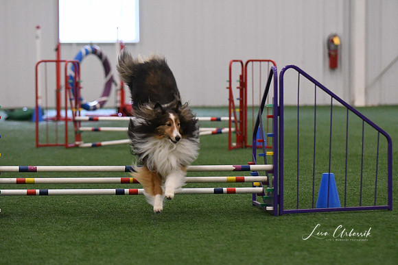 DSC_9662
