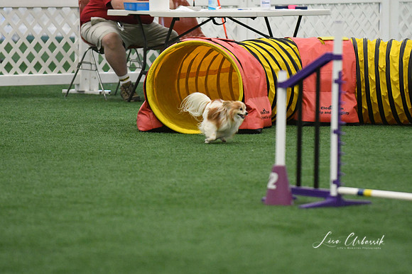 DSC_6395