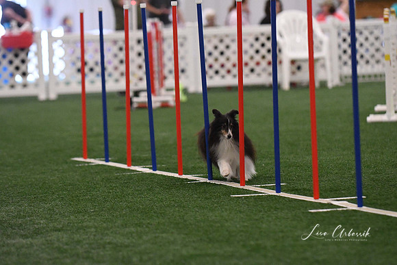 DSC_0342
