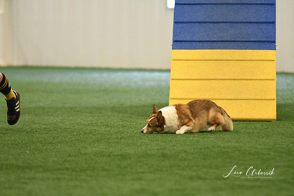 DigitalDSC_0203