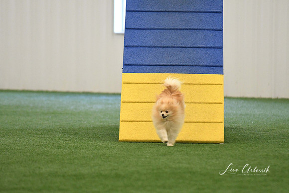 DigitalDSC_0336