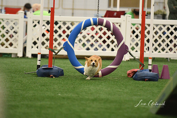 DigitalDSC_0326