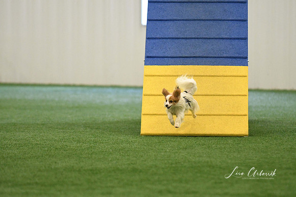 DigitalDSC_0294